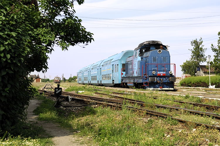 _DSC5497_mod.jpg