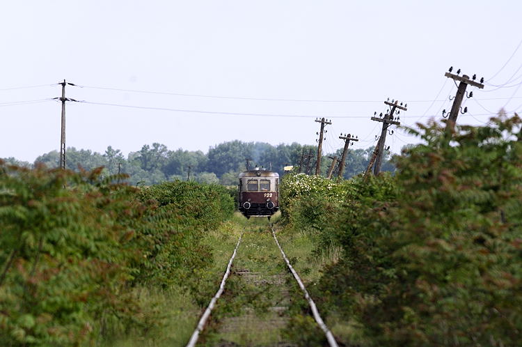_DSC5526_mod.jpg