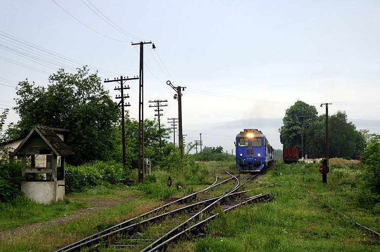 _DSC5704_mod.jpg