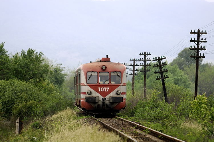 _DSC5798_mod.jpg