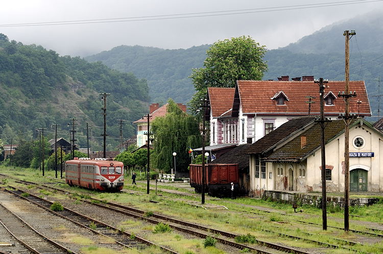 _DSC5807_mod.jpg