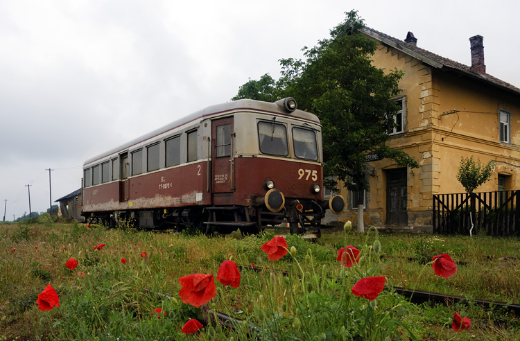 _DSC6140_mod_ps.jpg