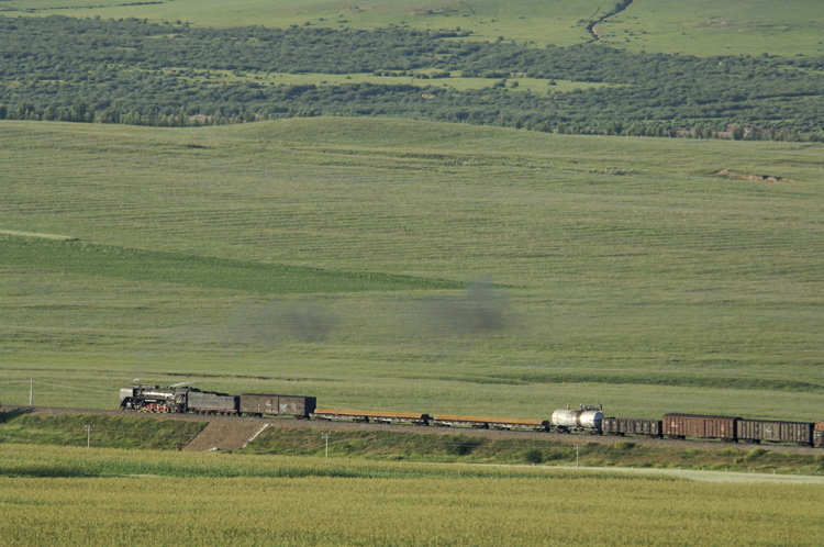 _DSC1904_mod.jpg