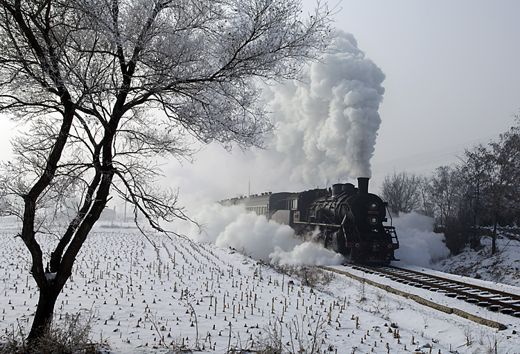 _dsc6908.jpg